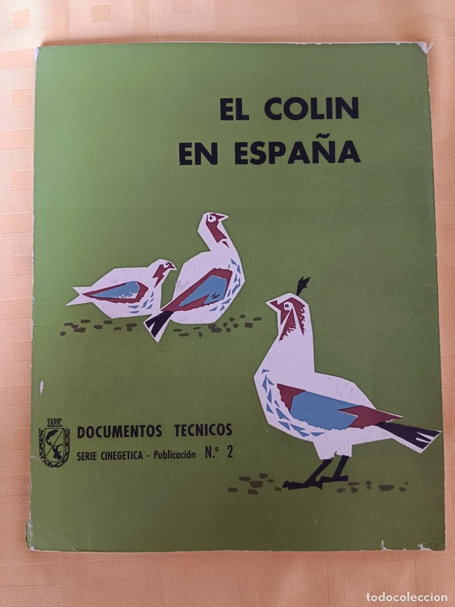 Libros: EL COLIN EN ESPA&Ntilde;A - Jose Manuel Calderon Rodriguez - Foto 1