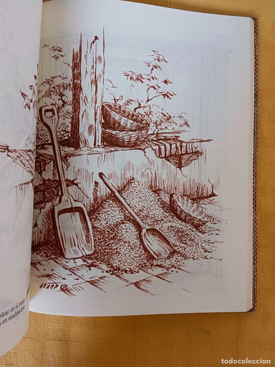 Libros: BRASAS DEL TERRU&Ntilde;O - Walter y Elena Arp - Foto 2