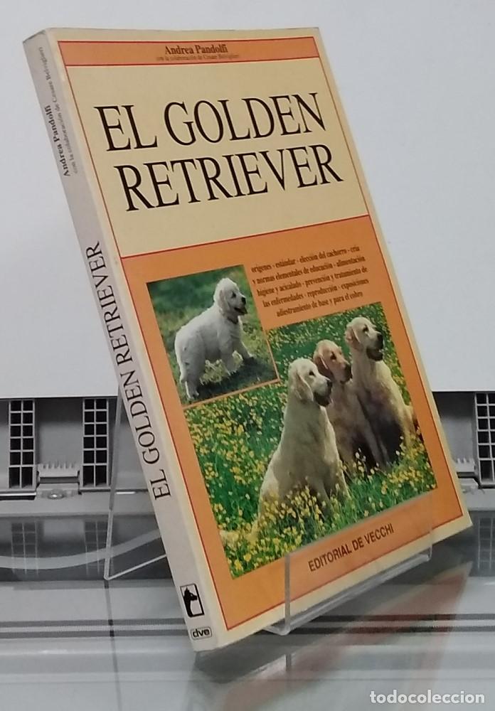 Libros: El golden retriever - Andrea Pandolfi - Foto 1