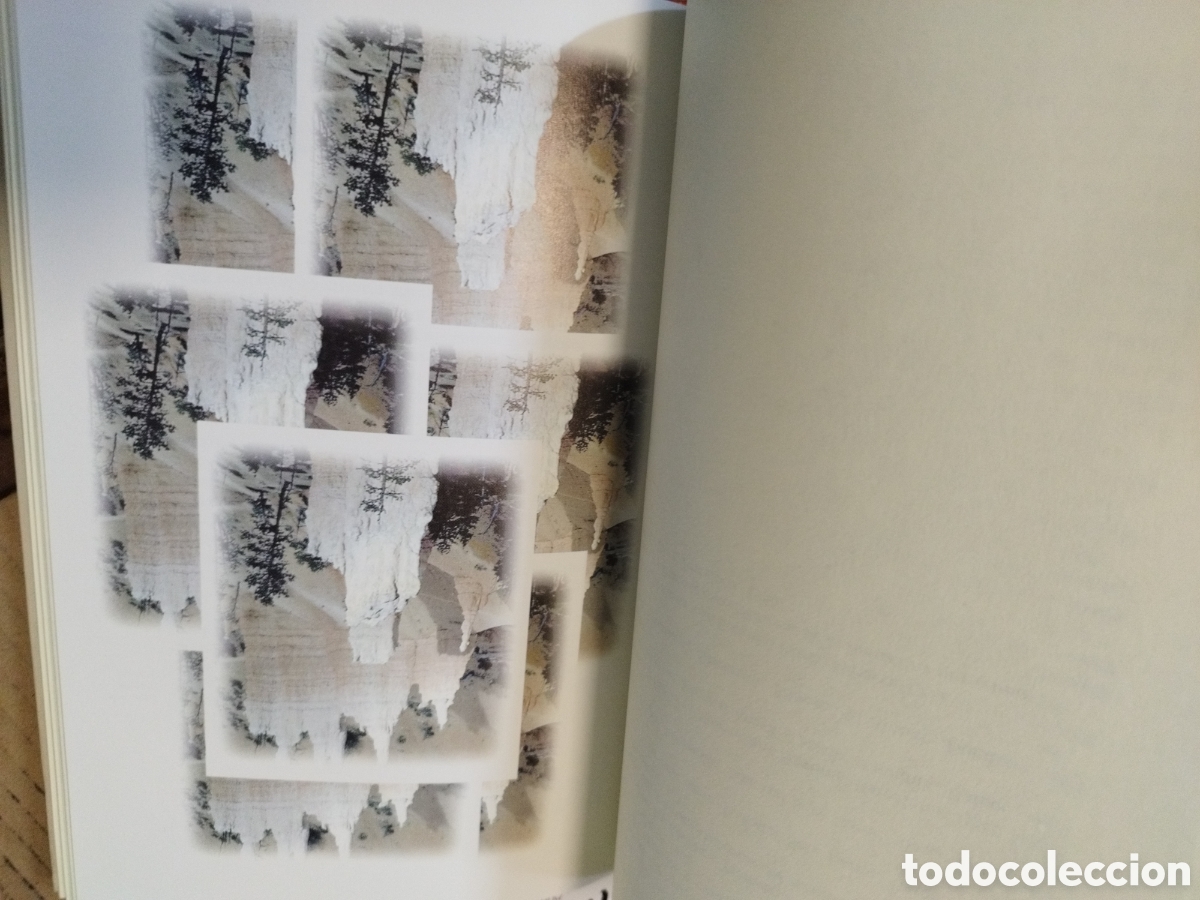 Libros: LOS LENGUAJES DEL COLOR - FERRER,Eulalio - Foto 13
