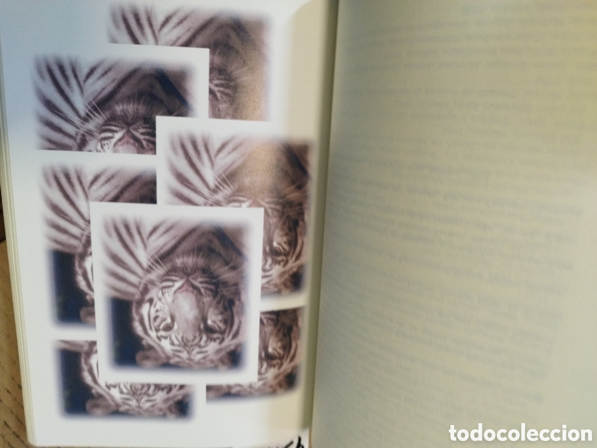 Libros: LOS LENGUAJES DEL COLOR - FERRER,Eulalio - Foto 14