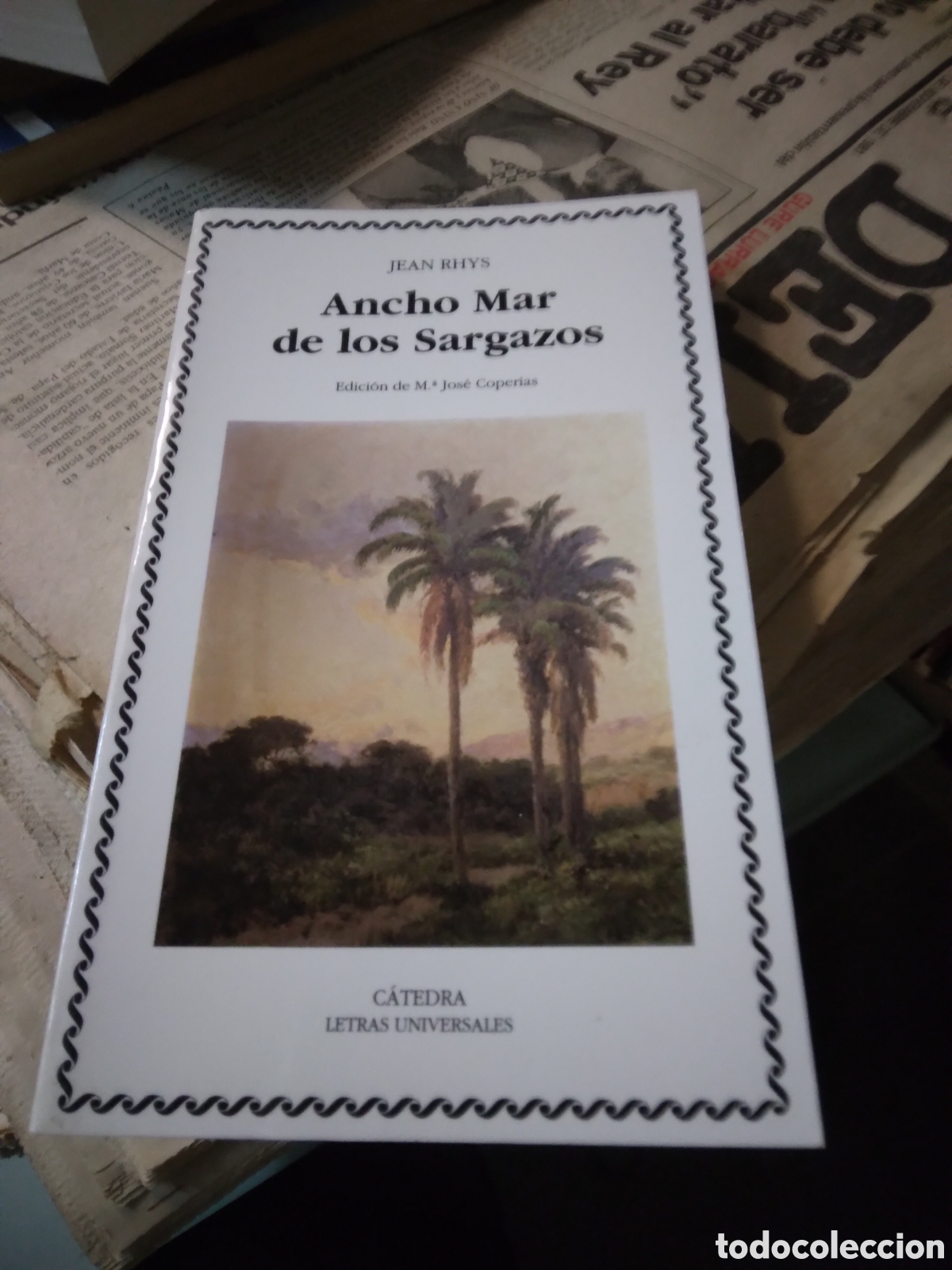 Libros: Jean Rhys, Ancho Mar de los Sargazos, Catedra - Foto 1