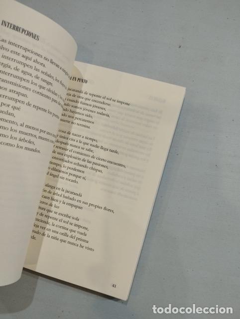 Libros: Hermann Bellinghausen - Tr&oacute;pico de la libertad - Foto 2