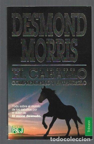 Libros: CABALLO - EL. COMPRENDERLO Y ENTENDERLO - MORRIS, DESMOND - Foto 1