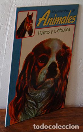 Libros: MI PRIMER LIBRO DE ANIMALES. PERROS Y CABALLOS - EQUIPO EDITORIAL - Foto 1