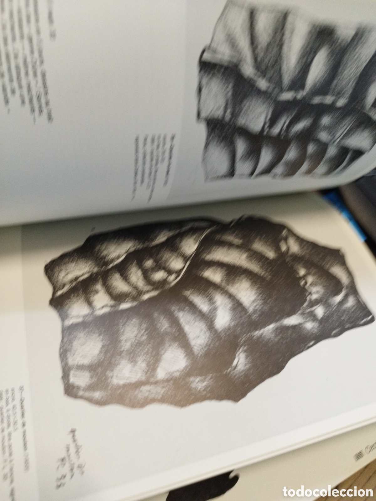Libros: FERNAND LEGER. La poesie de l&acute;objet 1928-1934 - CATALOGO - Foto 4