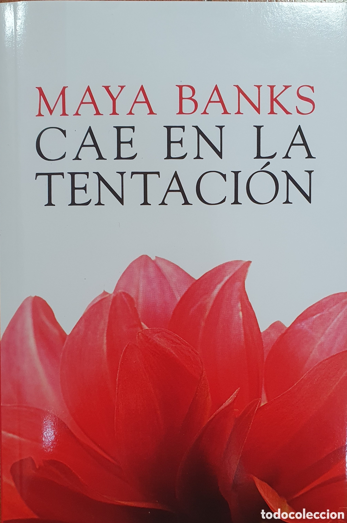 Libros: Cae en la Tentaci&oacute;n - Maya Banks - Foto 1