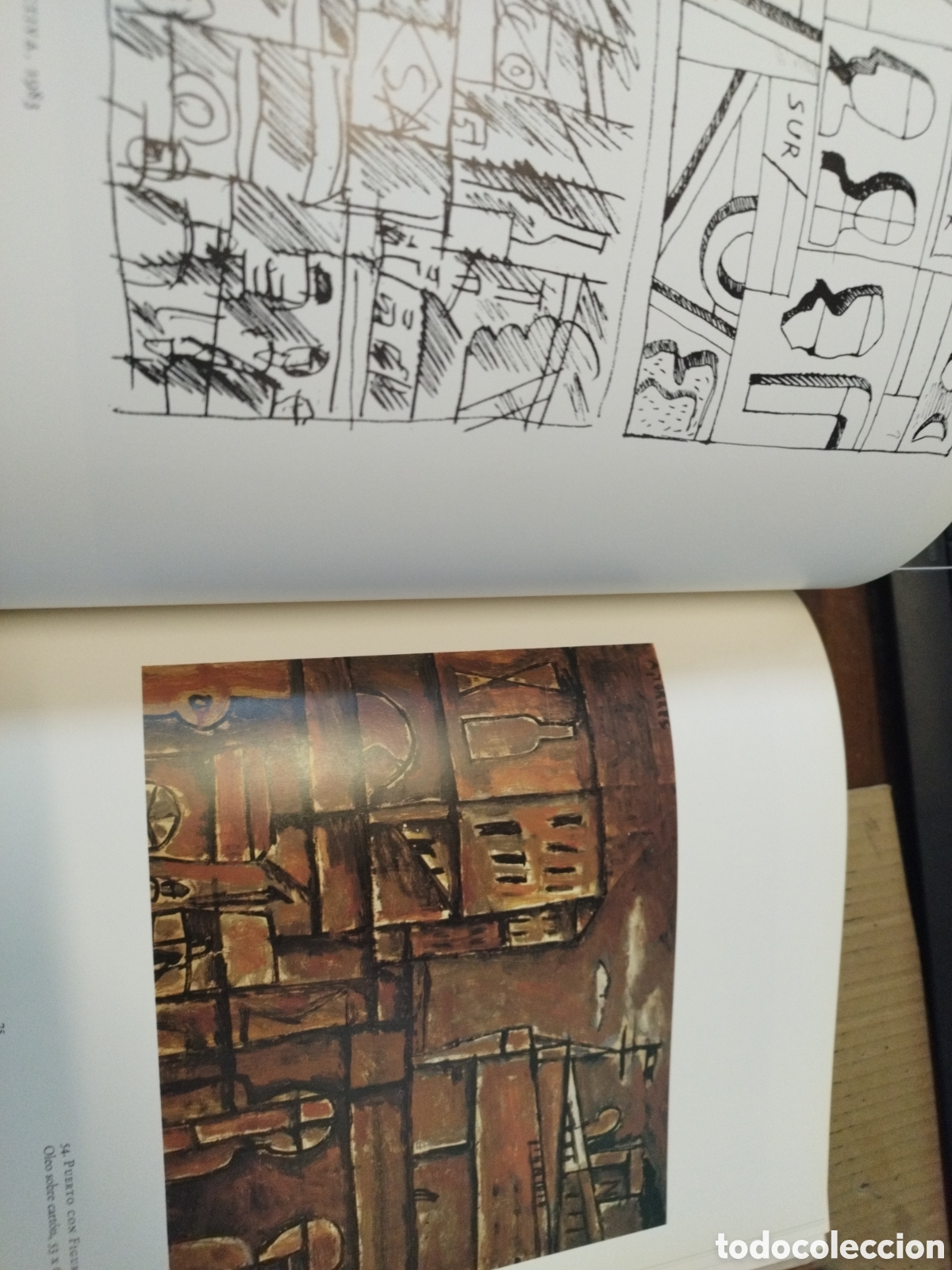 Libros: AUGUSTO TORRES - FONSECA,Elizabeth K. - Foto 8