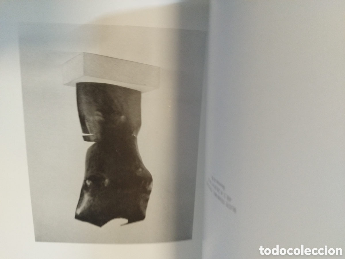 Libros: JULIO GONZALEZ 1876-1942 - Foto 6