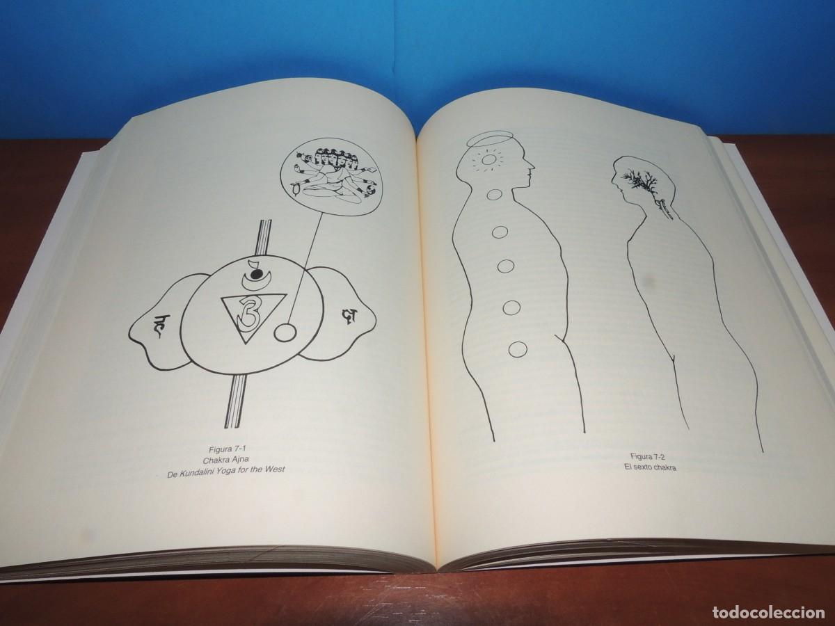 Libros: LOS CHAKRAS. LAS RUEDA DE LA ENERG&Iacute;A VITAL.-ANODEA JUDITH - Foto 11