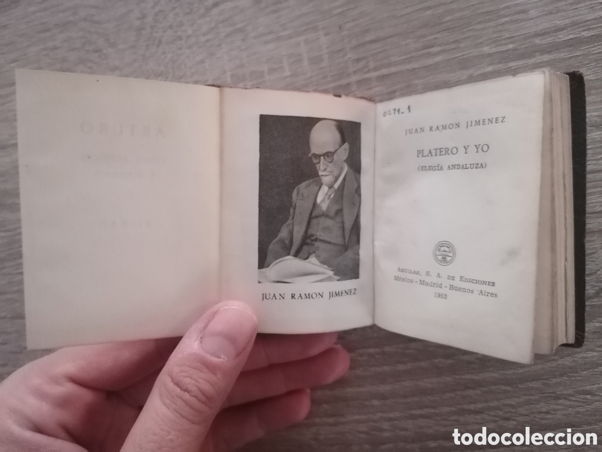 Libros: Crisolin Platero y yo - Foto 4
