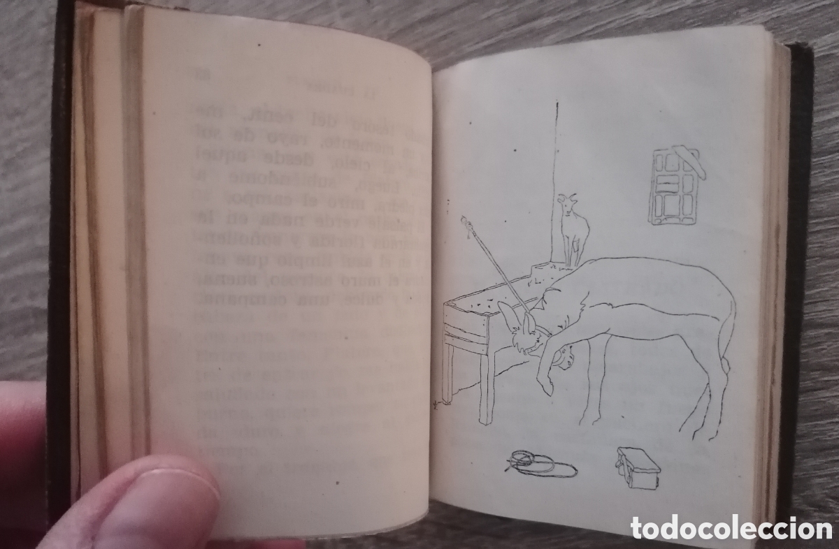 Libros: Crisolin Platero y yo - Foto 5