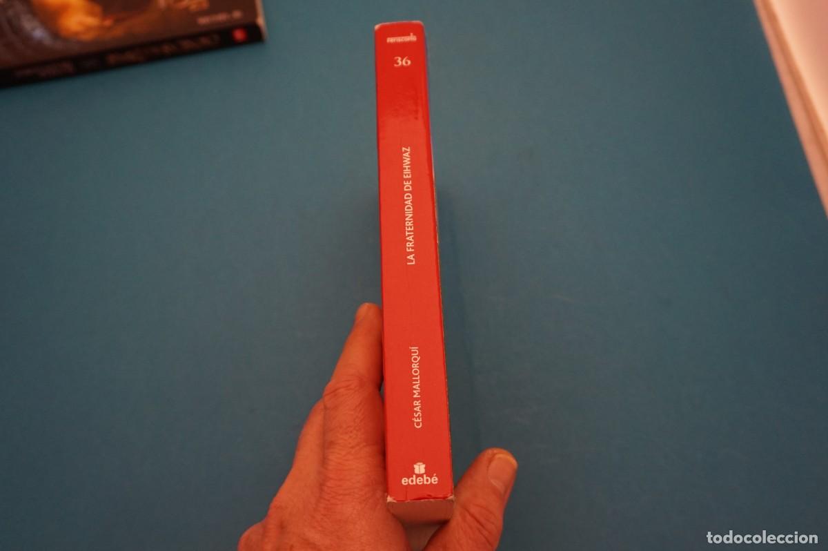 Libros: 2B/ LA FRATERNIDAD DE EIHWAZ - CESAR MALLORQUI / EDEBE - Foto 6