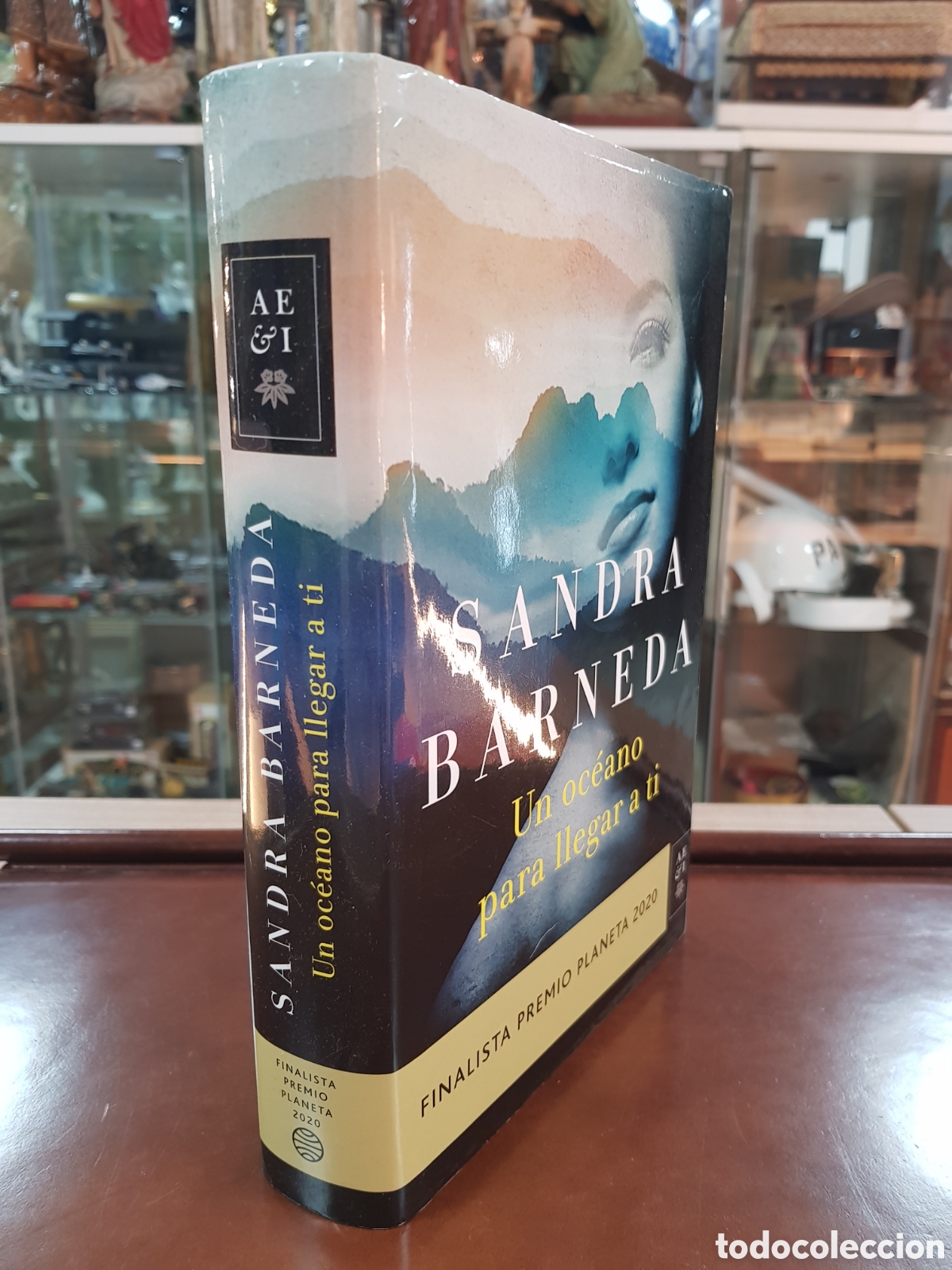 Libros: UN OC&Eacute;ANO PARA LLEGAR ATI. SANDRA BARNEDA - Foto 1