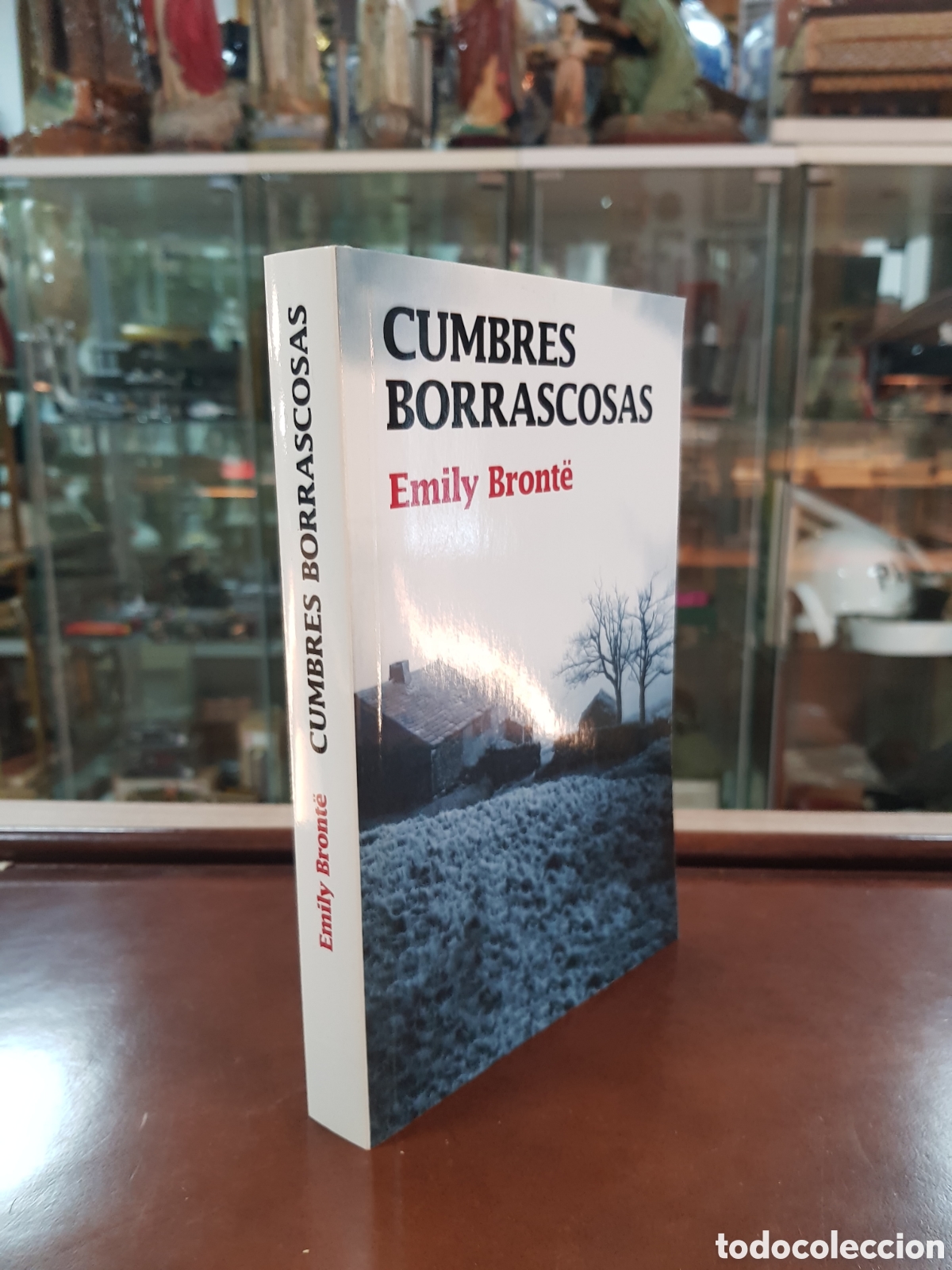 Libros: CUMBRES BORRASCOSAS. EMILY BRONTE - Foto 1
