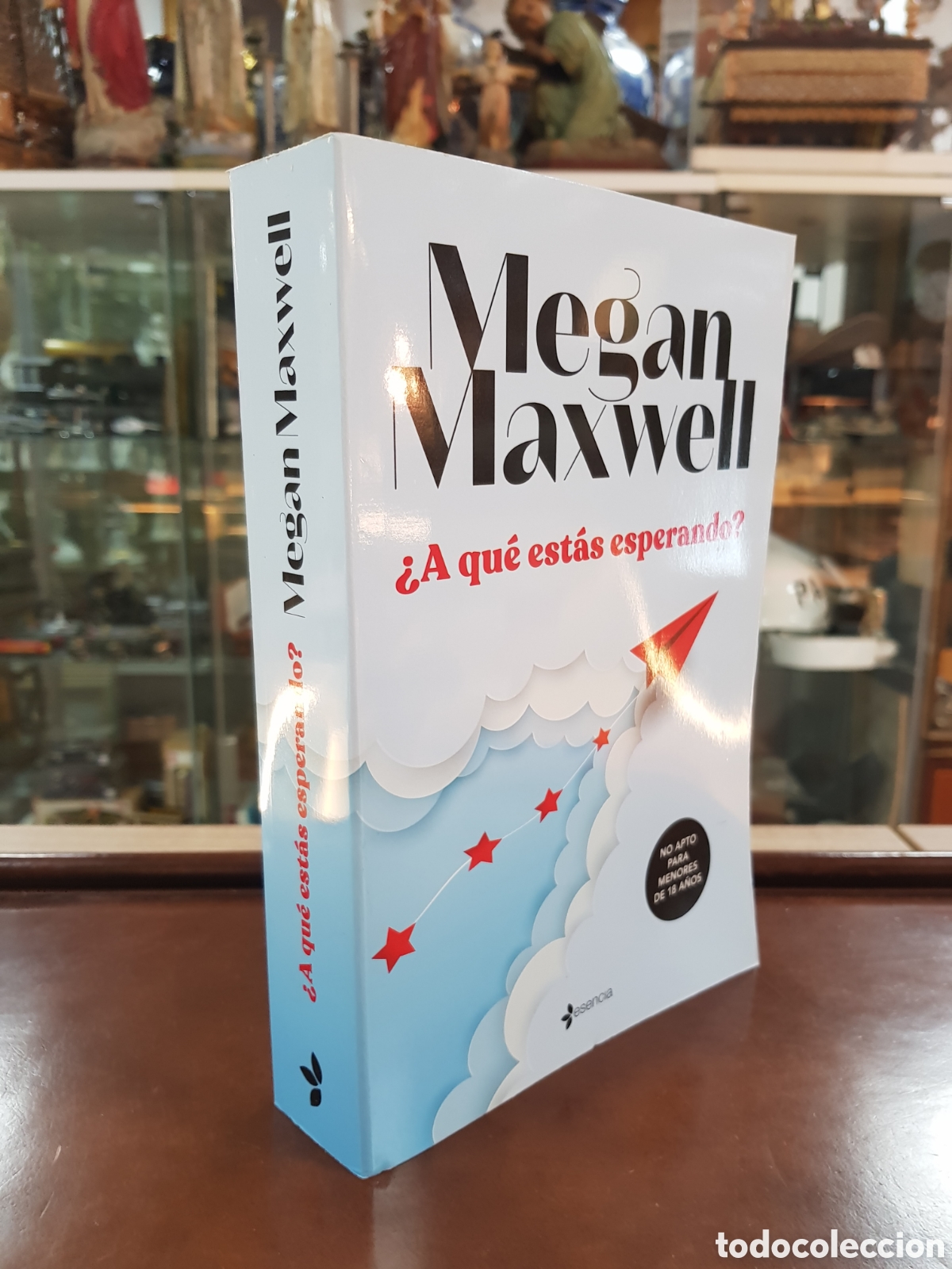 Libros: &iquest;A QU&Eacute; &Eacute;STAS ESPERANDO? MEGAN MAXWELL. - Foto 1