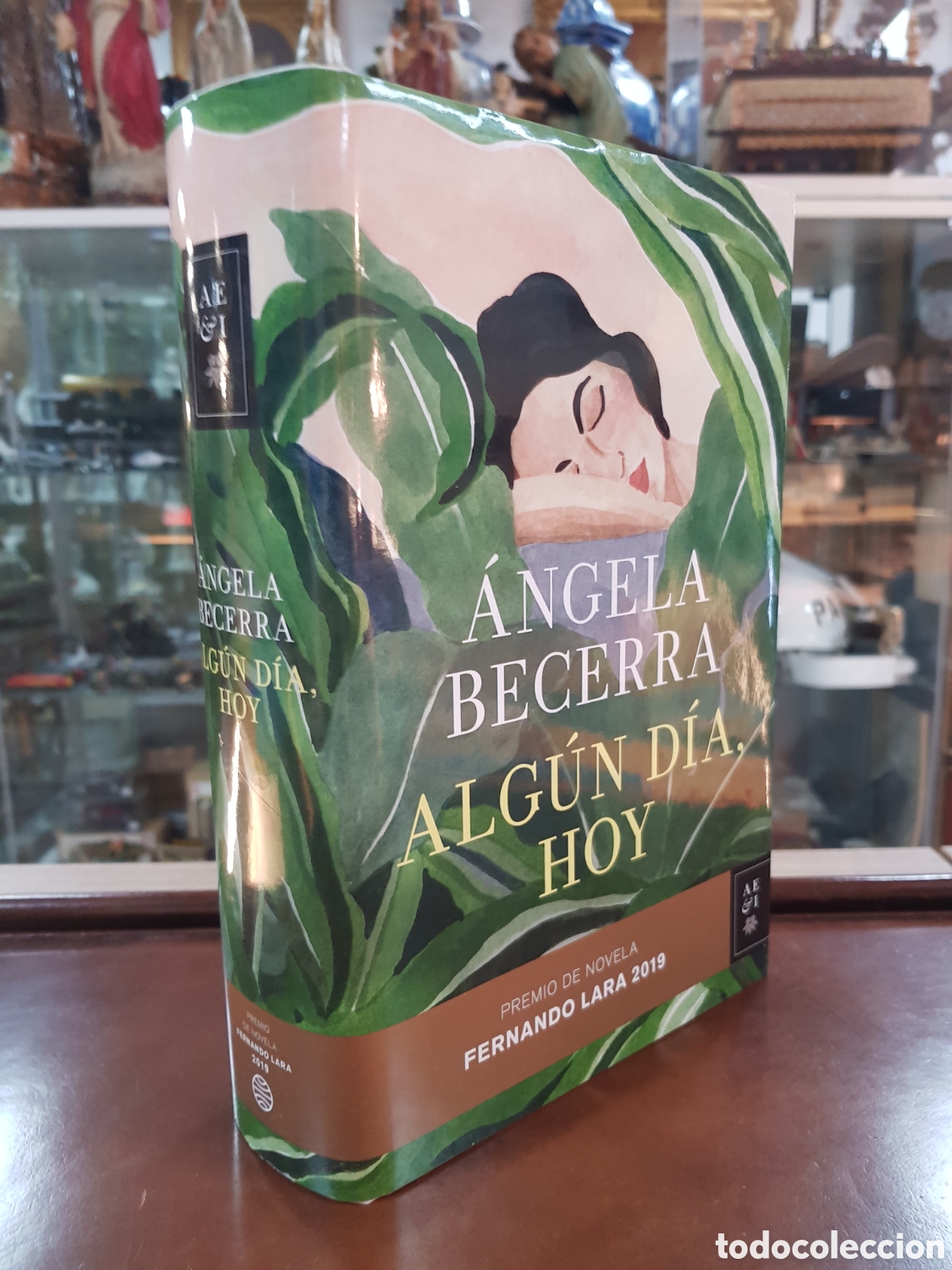 Libros: ALGUN DIA , HOY. ANGELA BECERRA - Foto 1