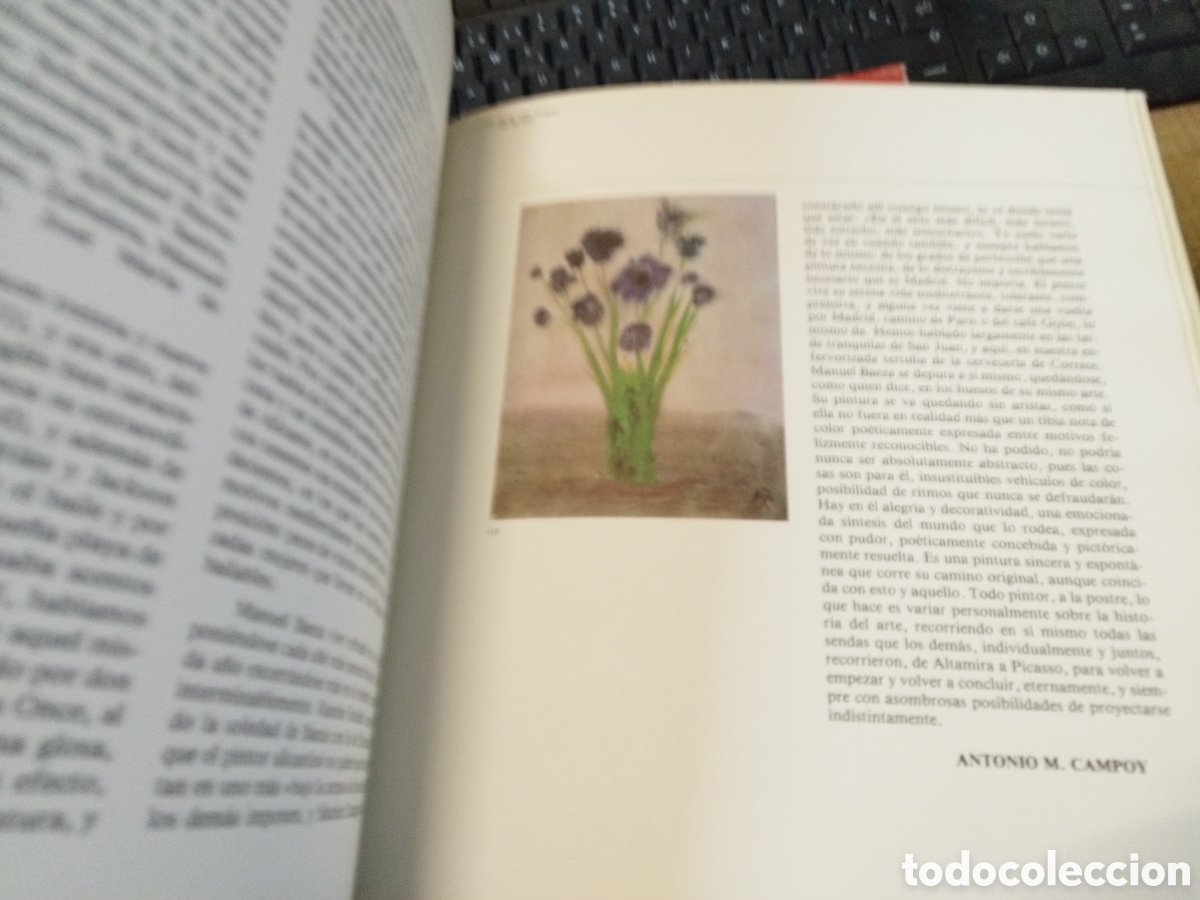 Libros: MANUEL BAEZA. 1&ordf; Edici&oacute;n - CAMPOY,A.M. - Foto 8