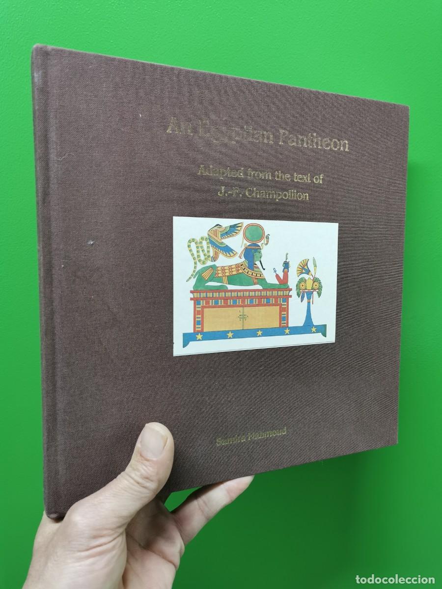 Livros em segunda m&atilde;o: An Egyptian Pantheon: Adapted from the text of J-F Champollion by Samira Mahmoud