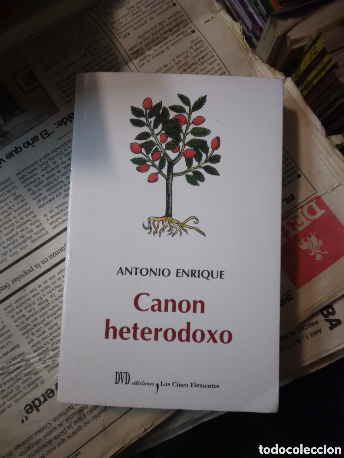 Libros: Antonio Enrique, Canon heterodoxo, Ediciones Los cinco hermanos - Foto 1