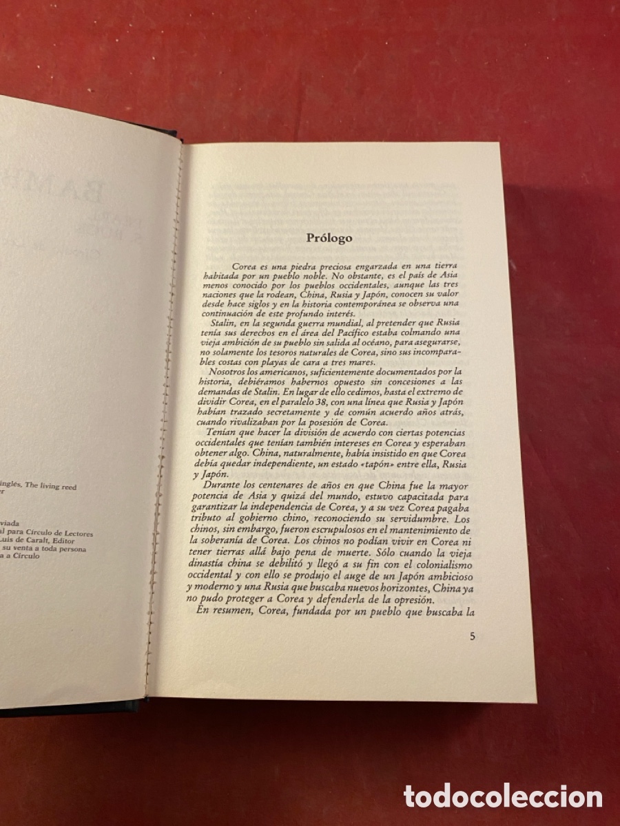 Libros: BAMBU - Foto 2