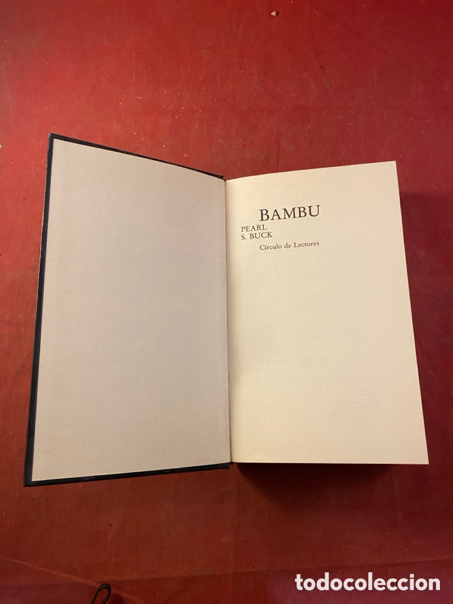Libros: BAMBU - Foto 1