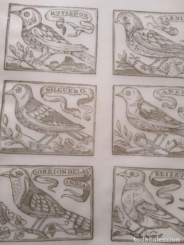 Libros: Conocimiento de las catorce aves menores de jaula - Foto 3
