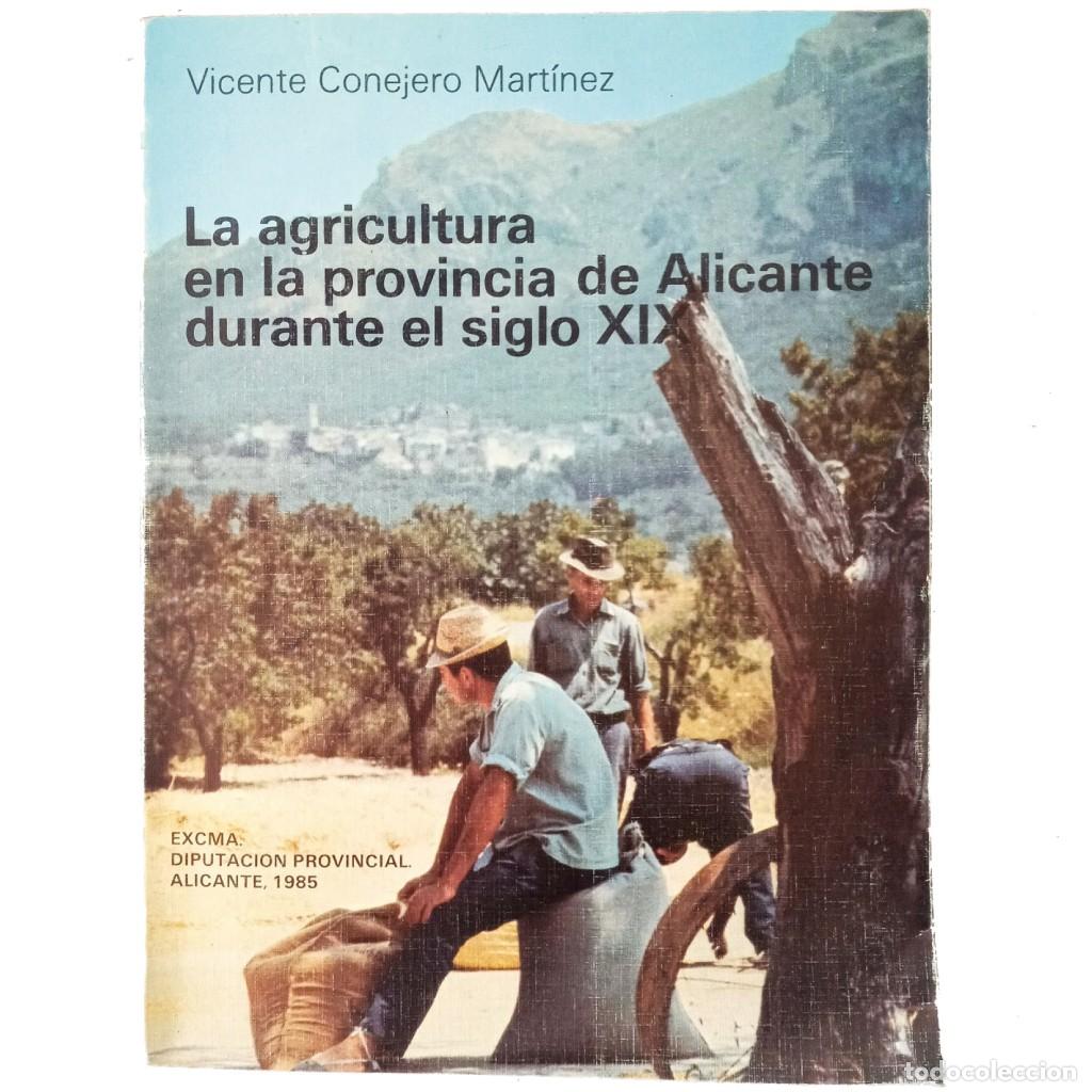 Libros: LA AGRICULTURA EN LA PROVINCIA DE ALICANTE DURANTE EL SIGLO XIX. Conejero Mart&iacute;nez, Vicente