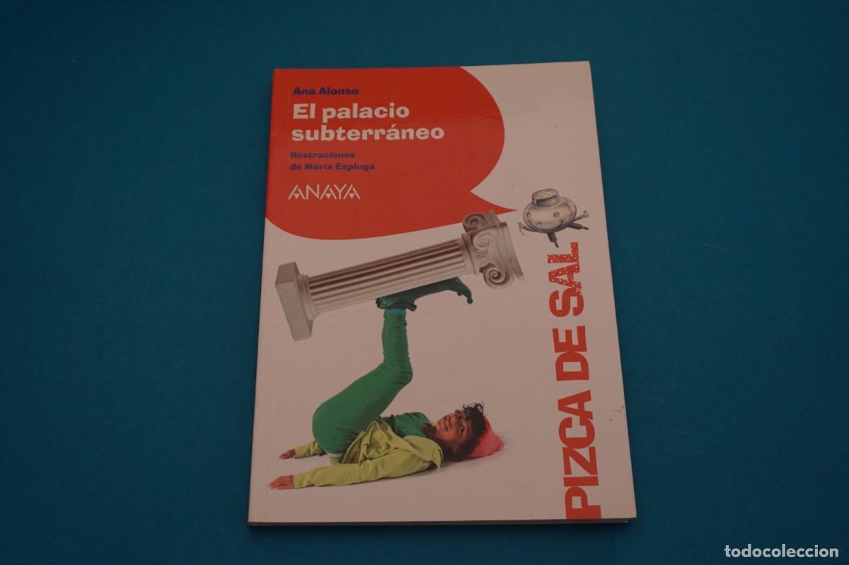 Libros: AR45B/ EL PALACIO SUBTERRANEO - ANA ALONSO / ANAYA - Foto 1