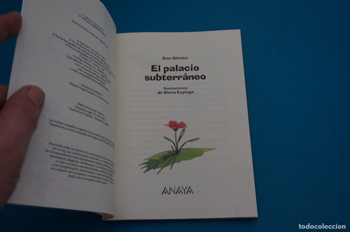 Libros: AR45B/ EL PALACIO SUBTERRANEO - ANA ALONSO / ANAYA - Foto 2