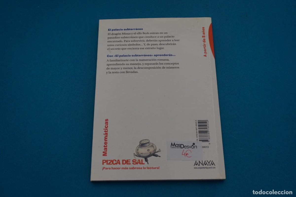 Libros: AR45B/ EL PALACIO SUBTERRANEO - ANA ALONSO / ANAYA - Foto 4