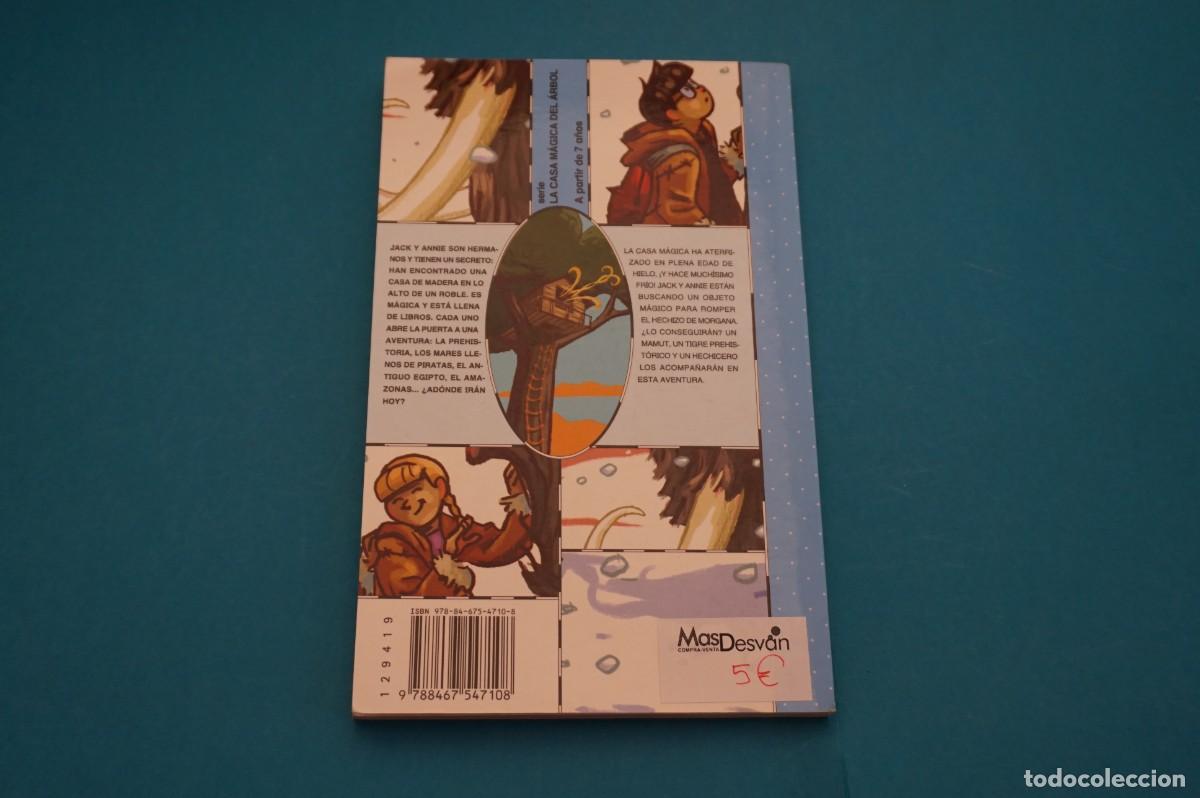 Libros: AR45B/ VIAJE A LAS CAVERNAS - MARY POPE OSBORNE / SM - Foto 4