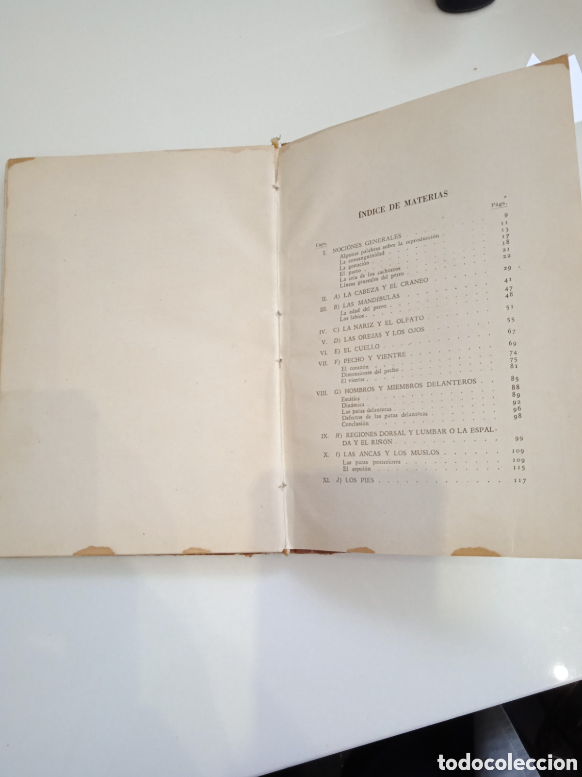Libros: EL PERRO DE RAZA - DR. R. BOMMIER - 1944 - Foto 6