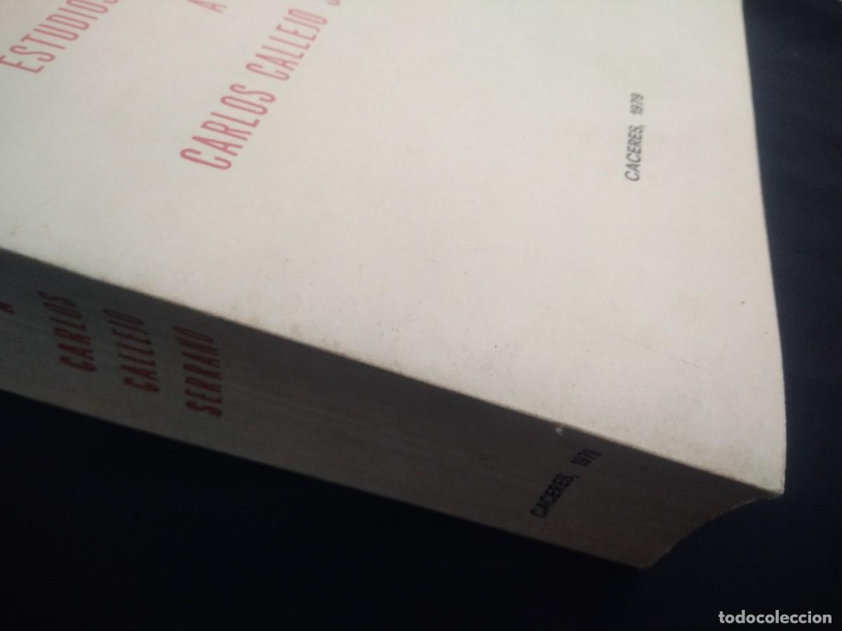 Libros: Libro Estudios Dedicados A Carlos Callejo Serrano - Foto 4