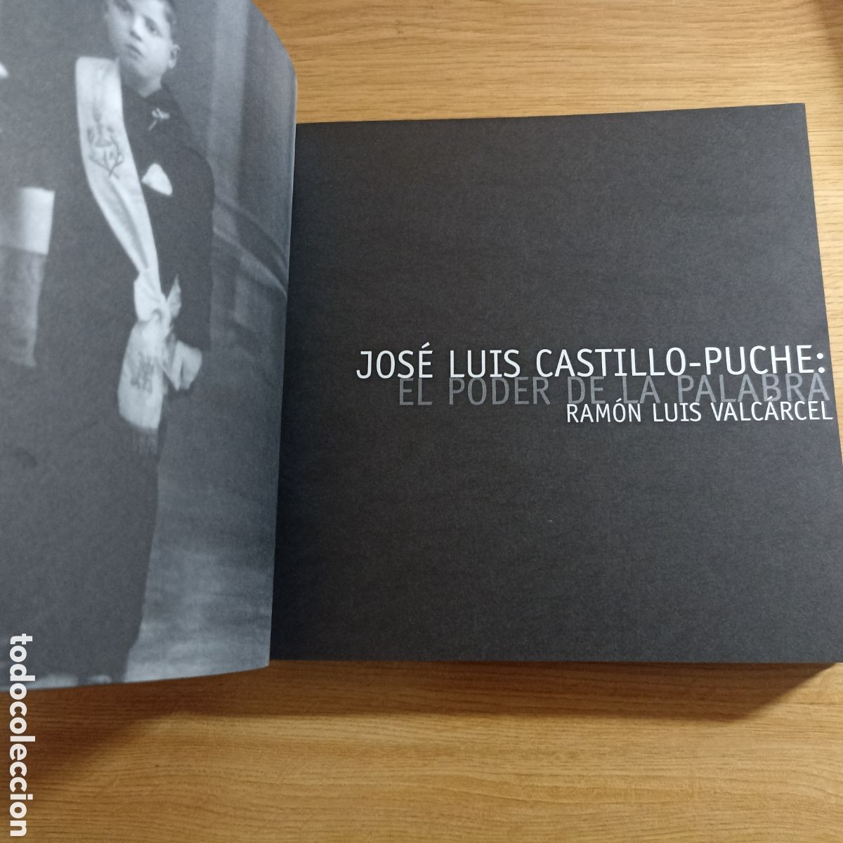 Libros: Jos&eacute; Luis Castillo-Puche. El Poder de la Palabra. Javier Ceballos Mar&iacute;n. - Foto 3