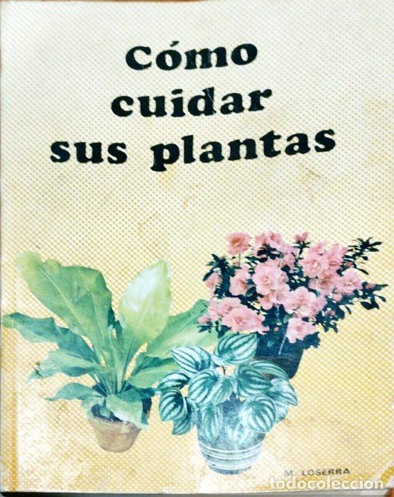 Libros: Como cuidar sus plantas - LOSERRA, M - Foto 1