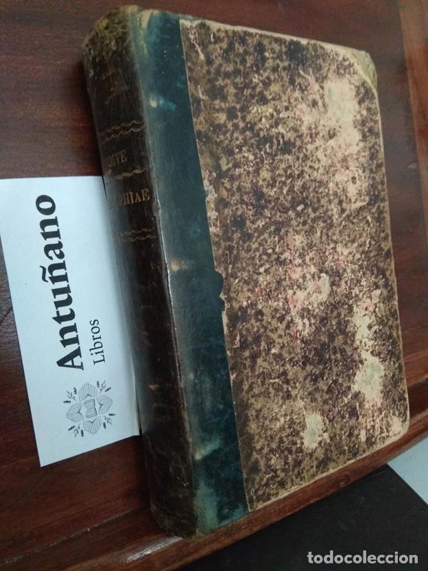 books: Institutiones Philosophlae Scholasticae. Cosmologia