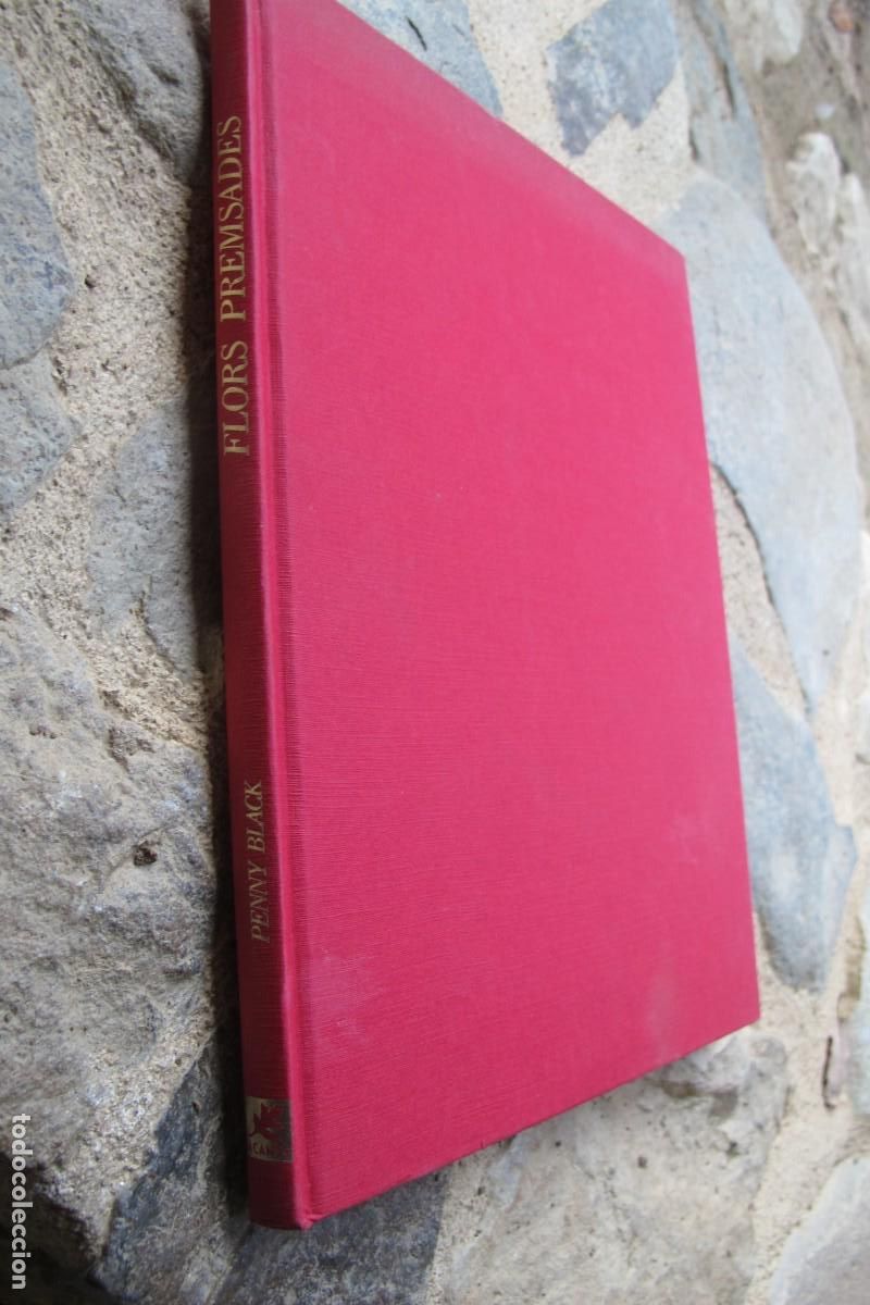Libros: FLORS PREMSADES. PENNY BLACK - Foto 1