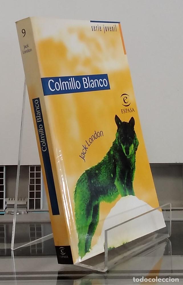 Libros: Colmillo blanco (serie juvenil) - Jack London - Foto 1