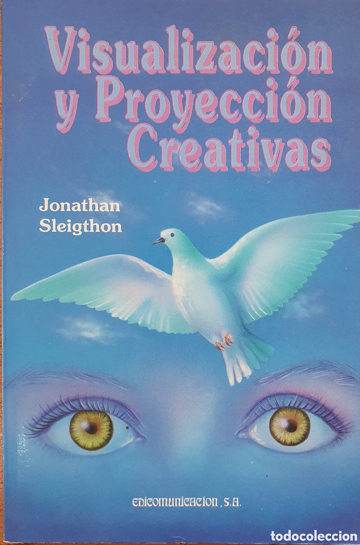 Libros: Visualizaci&oacute;n y Proyecci&oacute;n Creativas - Jonathan Sleigthon - Foto 1