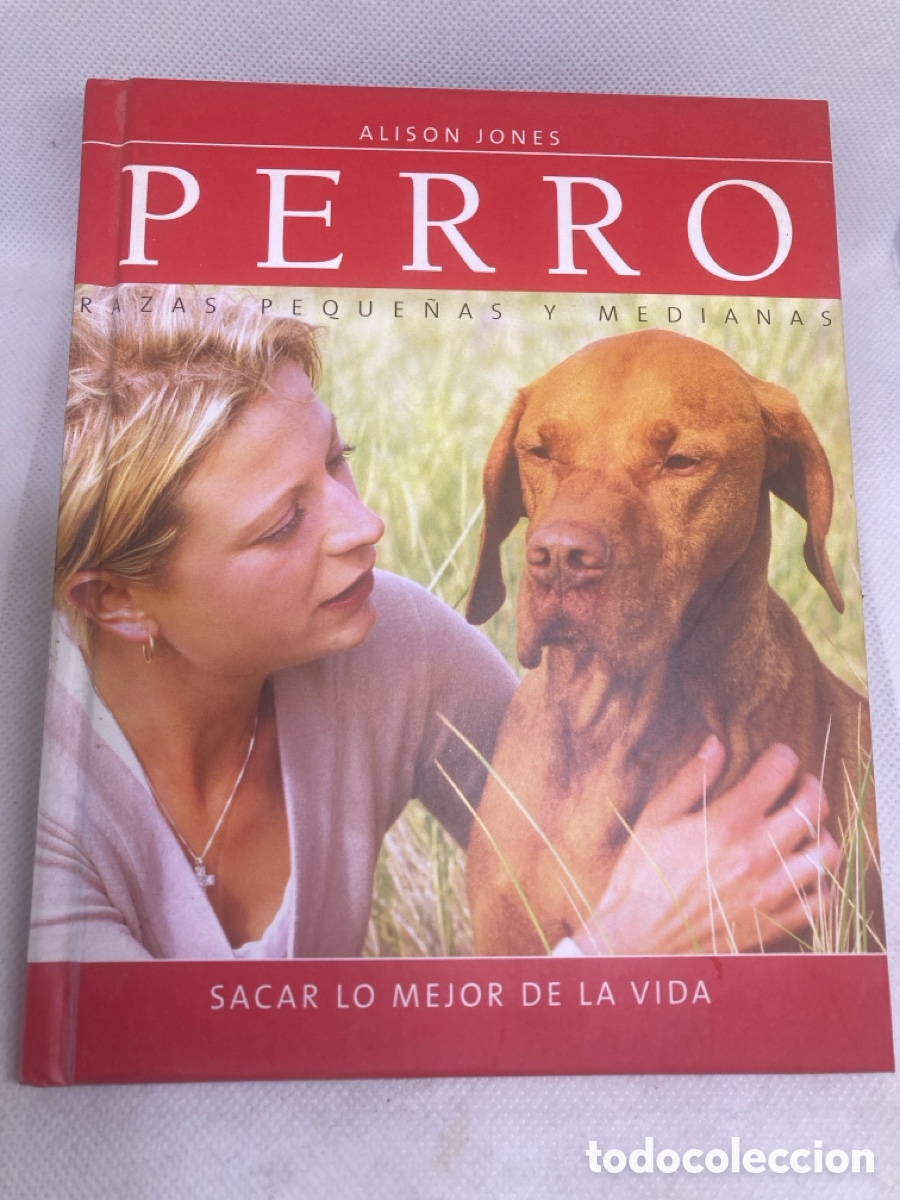 Libros: PERRO &ldquo; razas peque&ntilde;as y medianas &ldquo; de ALISON JONES - Foto 1