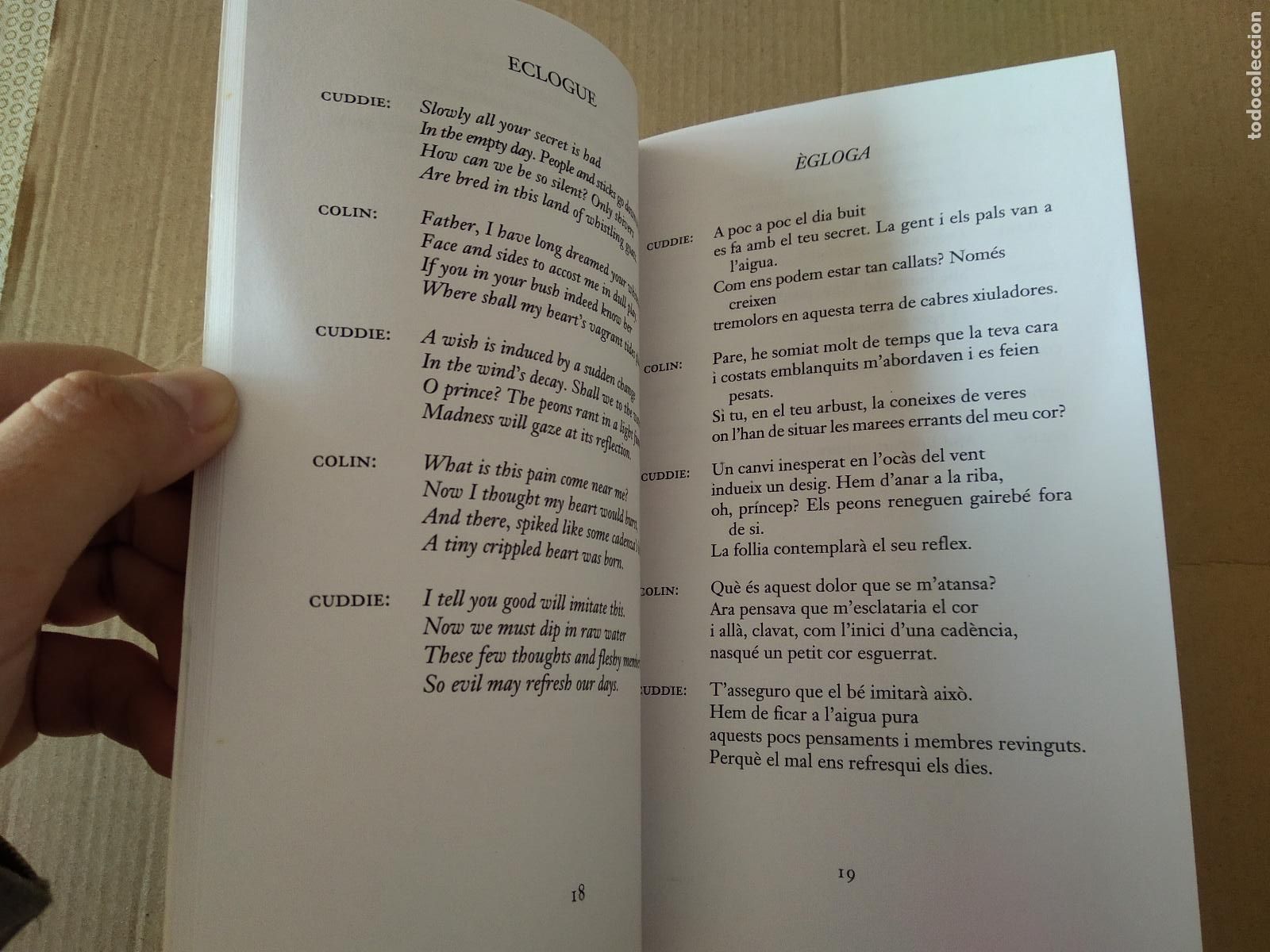 Libros: LIBRO EN CATALAN E INGLES BILING&Uuml;E ALGUNS ARBRES DE JOHN ASHBERY EDICIONS 62 EMPURIES - Foto 5