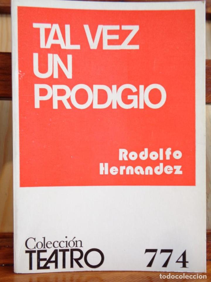 Libros: TAL VEZ UN PRODIGIO - RODOLFO HERN&Aacute;NDEZ - Foto 1