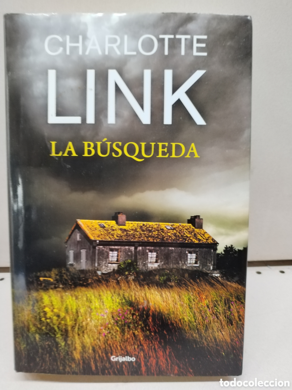 Libros: LA BUSQUEDA - Link, Charlotte - Foto 1