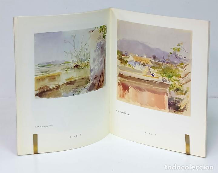 Libros: SERNA (Pedro). Pedro Serna. Pinturas (1990-1993) - Foto 4