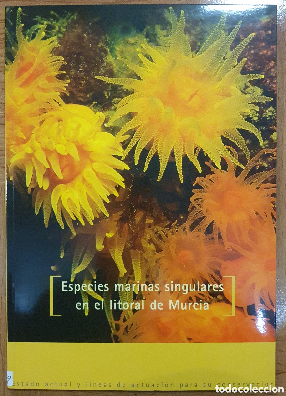 Libros: Especies Marinas Singulares en el Litoral de Murcia - vV. AA. - Foto 1