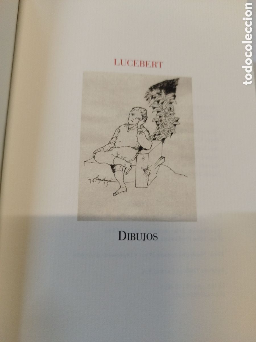 Libros: DIBUJOS. Cuadernos del Hocinoco n&ordm; 7 - LUCEBERT - Foto 3