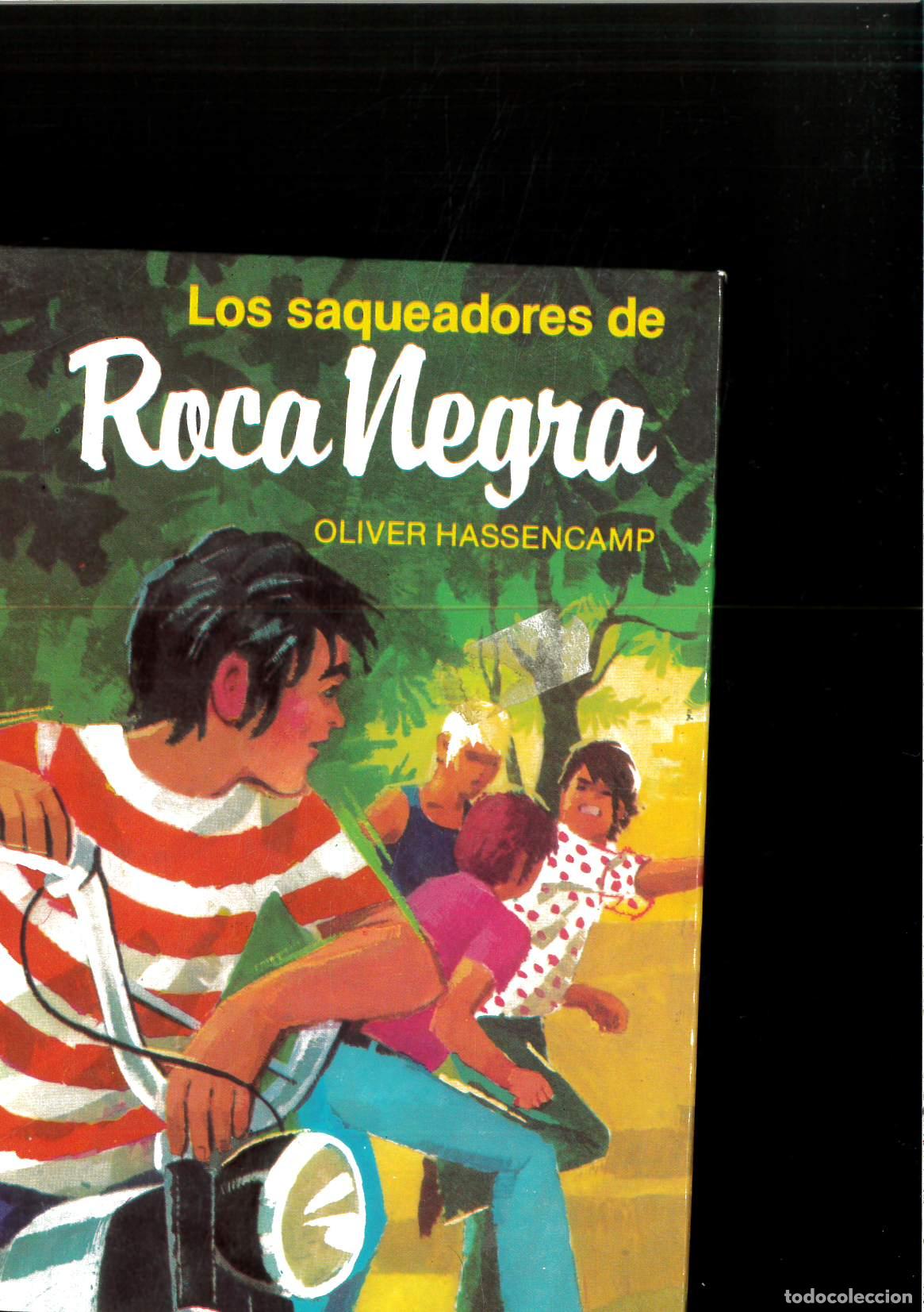 Libros: LOS SAQUEADORES DE ROCANEGRA - OLIVER HASSENCAMP - Foto 1