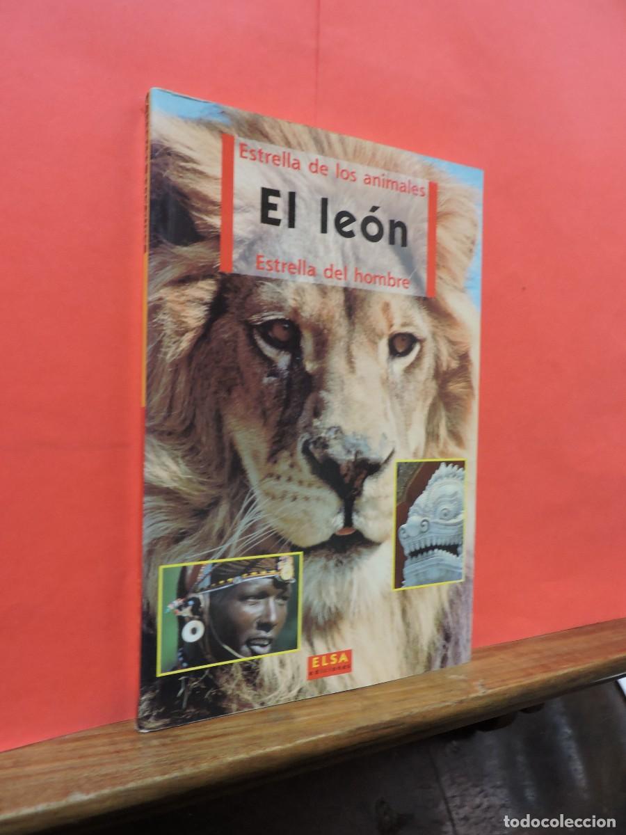 Libros: El le&oacute;n estrella del hombre. Ed. Elsa. Mil&aacute;n, 1998 - Foto 1
