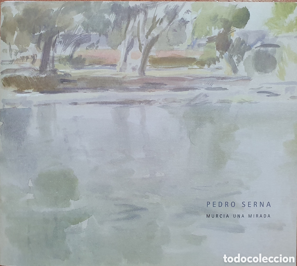 Libros: Pedro Serna: Murcia una mirada - VV. AA. - Foto 1